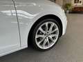 SEAT Leon FR|Aut.|Pano|Leder|Beats|ACC|DAB|Garantie Weiß - thumbnail 10