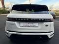 Land Rover Range Rover Evoque D165 AWD SE AUTOCARRO N1 NAVI LED 20' BLACK KAMERA Bianco - thumbnail 6