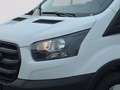 Ford Transit Kofferaufbau 2,0 EcoBlue L3H1 350 Trend Weiß - thumbnail 7