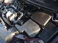 Ford Focus 1.6TDCi Trend Burdeos - thumbnail 31