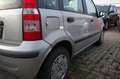 Fiat Panda 1.2 8V Dynamic Automatik 1.Hand Gris - thumbnail 5