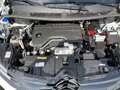 Citroen C5 Aircross Plus Hybr. 145 E-DSC 6 Weiß - thumbnail 19