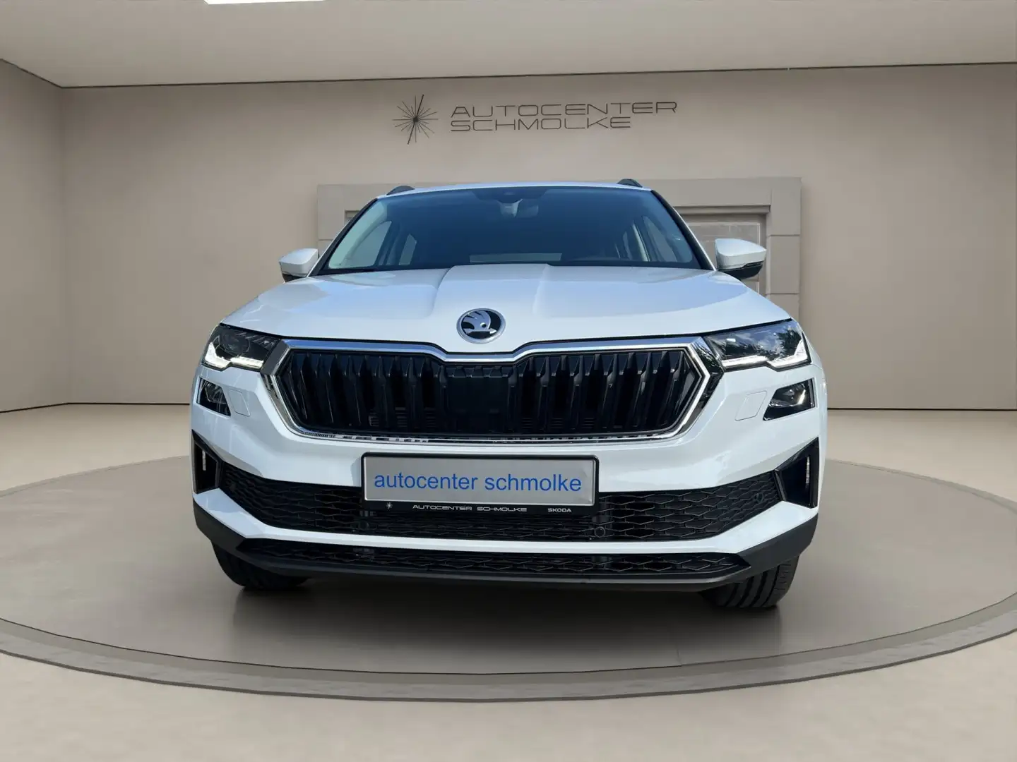 Skoda Karoq Karoq 2.0 TDI 4x4 Drive *KAMERA*EHECK*AHK*  Navi Weiß - 2