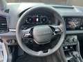 Skoda Karoq Karoq 2.0 TDI 4x4 Drive *KAMERA*EHECK*AHK*  Navi Weiß - thumbnail 10