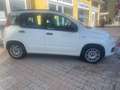 Fiat Panda Panda III 2012 1.2 Pop 69cv E6 Wit - thumbnail 3