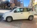 Fiat Panda Panda III 2012 1.2 Pop 69cv E6 Wit - thumbnail 4