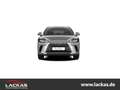 Lexus RX 450h +*EXECUTIVE LINE*HUD*PANORAMA*NAVI*360KAM*LED Silber - thumbnail 8