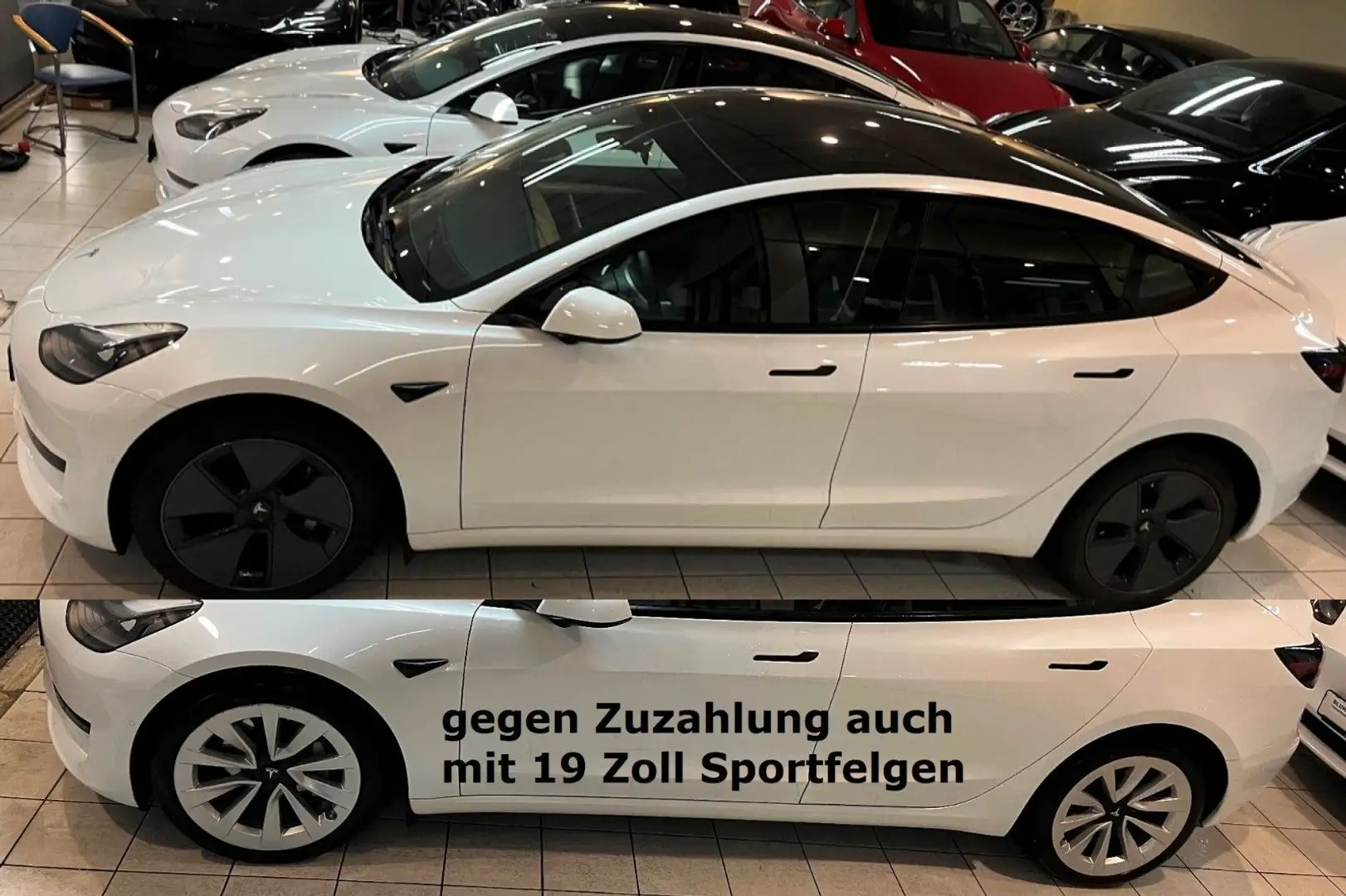 Tesla Model 3 +ohne Nachlackierung+ kaufe auch Tesla an Weiß - 2