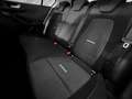Ford Focus 1.0 Ecoboost 155CV MHEV Active Blanc - thumbnail 15