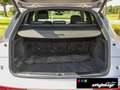 Audi Q5 S line 40 TDI quattro tronic Standheizung+20` Silber - thumbnail 9