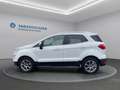 Ford EcoSport Titanium Weiß - thumbnail 8