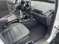 Ford EcoSport Titanium Weiß - thumbnail 12