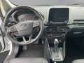 Ford EcoSport Titanium Weiß - thumbnail 17