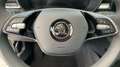 Skoda Fabia IV 1,0 TSI 130 Jahre digital Cockpit Keyless LED Wit - thumbnail 17