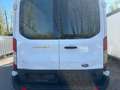 Ford Transit 350 L4 Trend MAXI LANG KLIMA EURO 5 Weiß - thumbnail 5