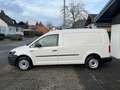 Volkswagen Caddy Maxi Kasten VW-Scheckheft 1.Hand 50Tkm AHKneu MwSt Blanc - thumbnail 2