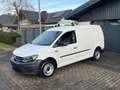 Volkswagen Caddy Maxi Kasten VW-Scheckheft 1.Hand 50Tkm AHKneu MwSt Blanc - thumbnail 1
