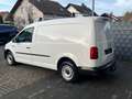 Volkswagen Caddy Maxi Kasten VW-Scheckheft 1.Hand 50Tkm AHKneu MwSt Blanc - thumbnail 3
