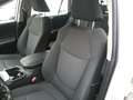 Toyota RAV 4 Rav4 2.5I 220H Business 4x4 Wit - thumbnail 19