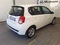Chevrolet Aveo 1.2 5 porte LT BIFUEL GPL Eco Logic Bianco - thumbnail 12
