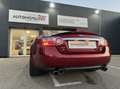 Jaguar XK 4.2L V8 300ch BVA6 ARDEN Evocation RHD - thumbnail 13