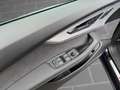 Audi Q8 SQ8/Matrix LED/Head UP/TFSI 373(507) kW(PS) t Blau - thumbnail 12