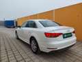 Audi A4 2,0 TDI Sport Finanzierung möglich Weiß - thumbnail 5