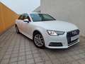 Audi A4 2,0 TDI Sport Finanzierung möglich Weiß - thumbnail 1
