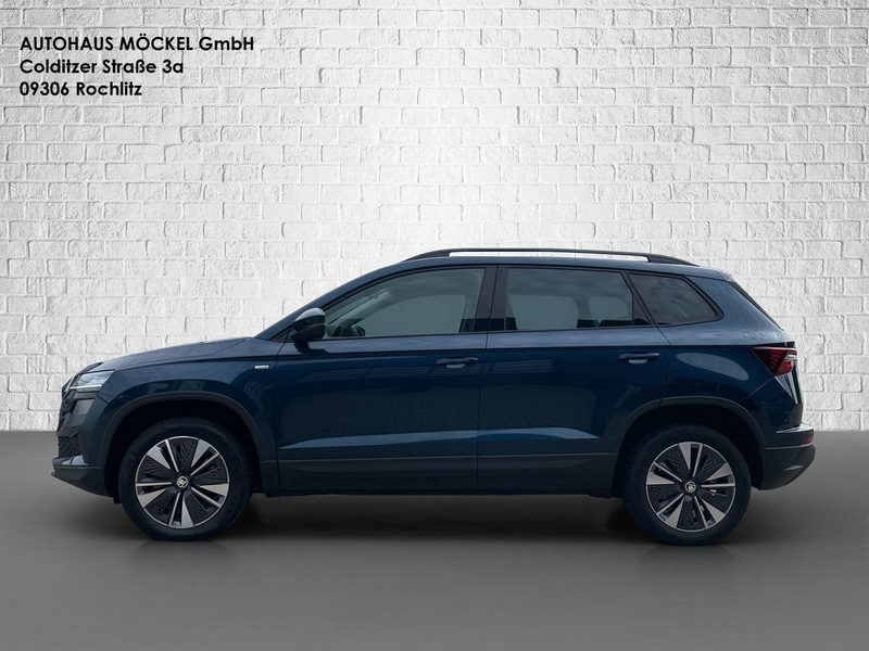 Skoda Karoq Tour TSI/Matrix/Winter Plus/Licht&Sicht — photo 2