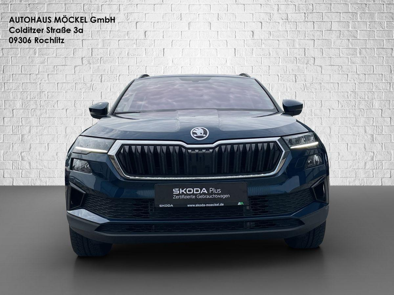 Skoda Karoq Tour TSI/Matrix/Winter Plus/Licht&Sicht — photo 8