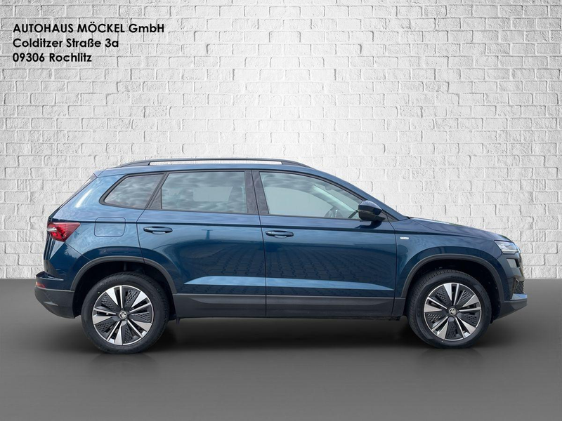 Skoda Karoq Tour TSI/Matrix/Winter Plus/Licht&Sicht — photo 6