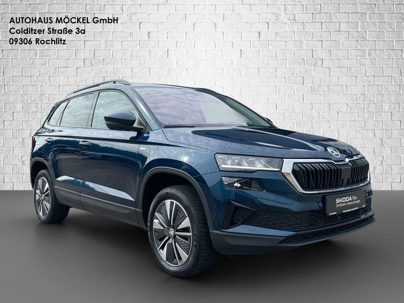 Skoda Karoq Tour TSI/Matrix/Winter Plus/Licht&Sicht — photo 7