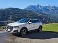 Audi Q2 Q2 2.0 tdi Design quattro 150cv s-tronic Bianco - thumbnail 2