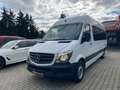 Mercedes-Benz Sprinter 316 CDI Kombi L3H2*8.Sitze*StHz*Rampe* Bianco - thumbnail 29