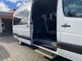 Mercedes-Benz Sprinter 316 CDI Kombi L3H2*8.Sitze*StHz*Rampe* Bianco - thumbnail 11
