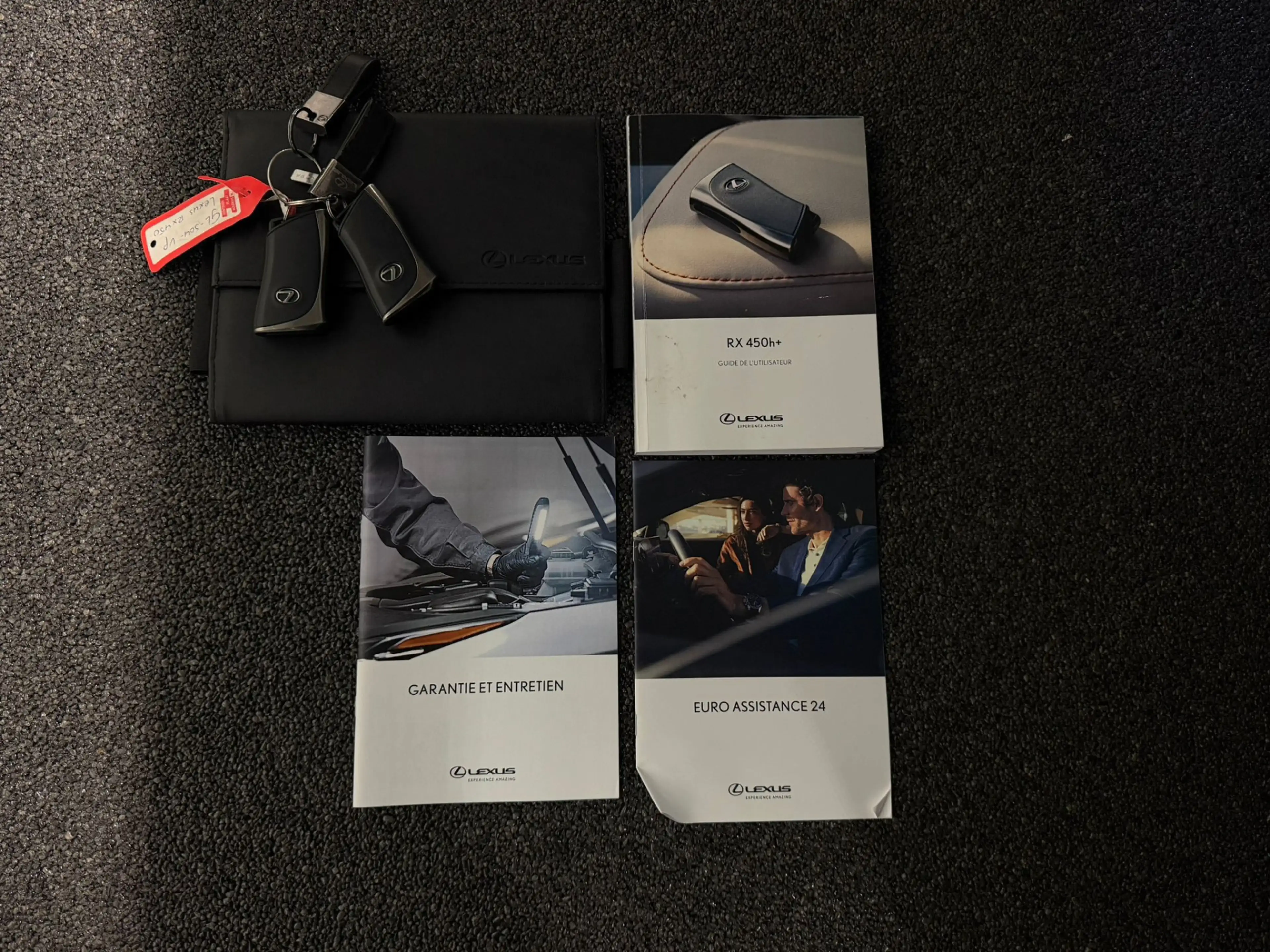 Lexus RX 450h 450h+ Plug-in Hybrid Luxury Line Panodak Dealer On — photo 24