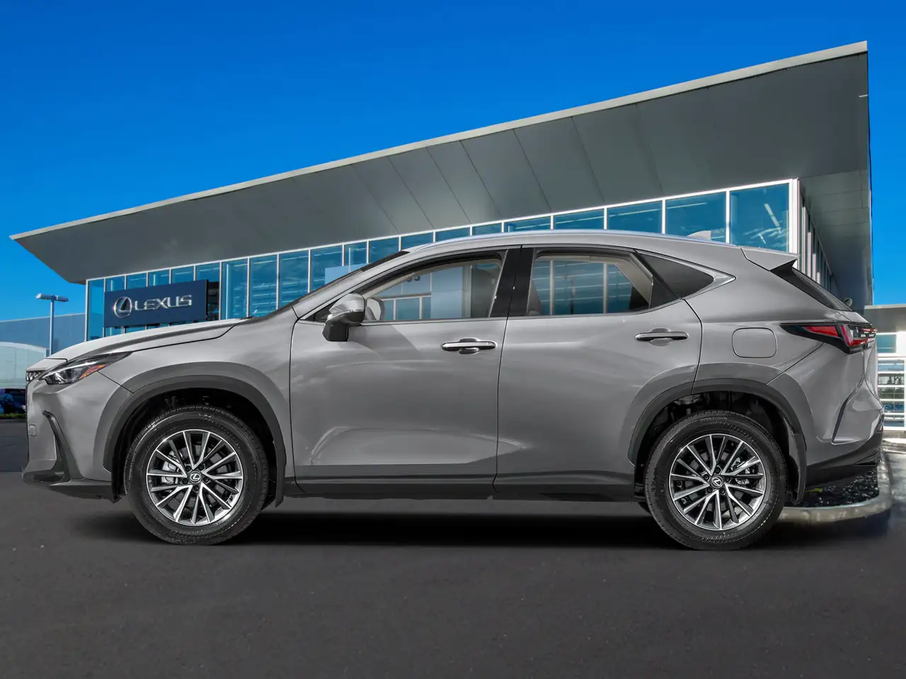 2026 Lexus NX photo 2026 Lexus NX
