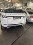 Land Rover Range Rover Evoque 2.2 TD4 4WD Prestige Wit - thumbnail 6