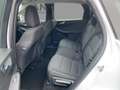 Ford Kuga 2.5 Duratec PHEV Cool & Connect AHK*LED*SHZ Wit - thumbnail 8