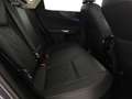 Lexus NX 450h+ 450h+ 2.5 phev luxury 4wd 309cv e-cvt Gris - thumbnail 8