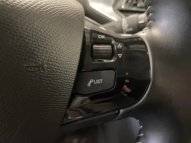 Peugeot 308 view 13