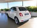 Fiat 500 1.0 Mild Hybrid Dolcevita - Carplay/ PDC/ Panorama Blanc - thumbnail 4