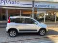 Fiat Panda 1.3 MJT 4x4 16v 75cv Argent - thumbnail 2