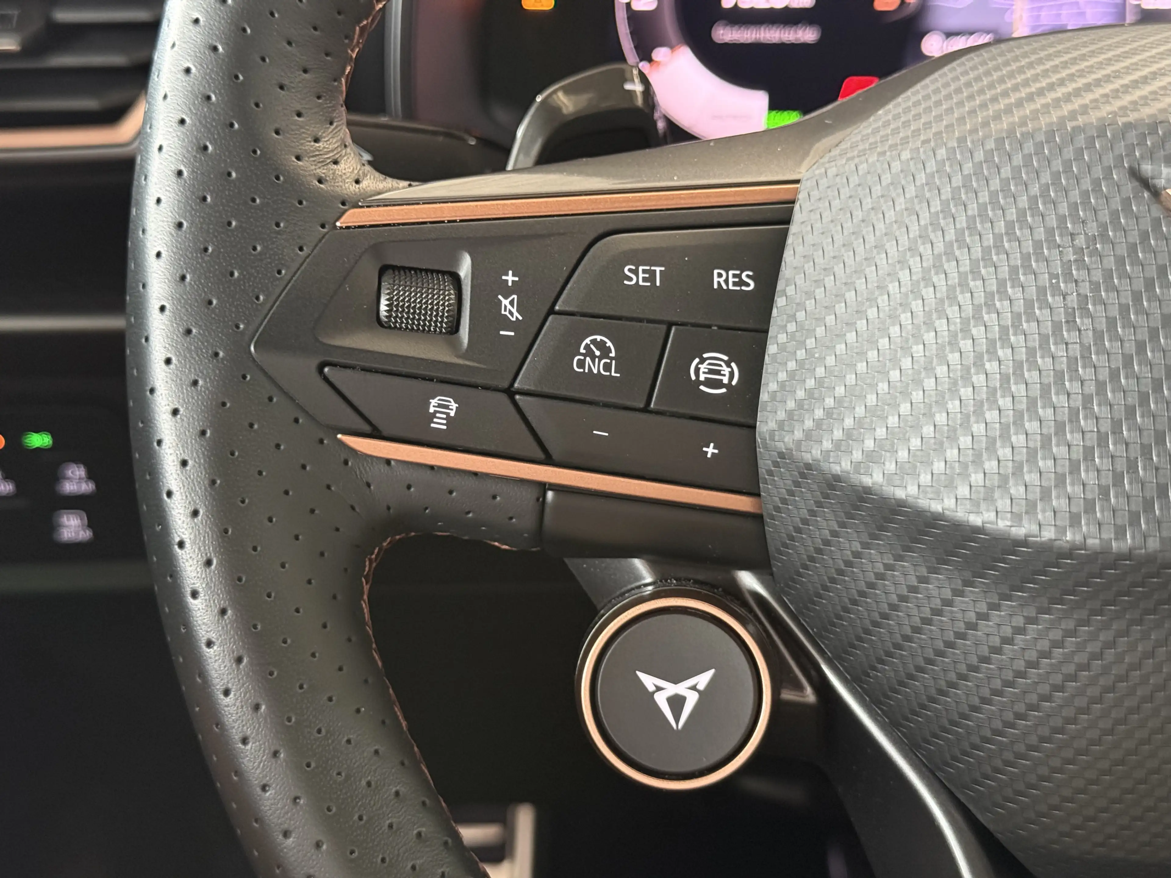 CUPRA Leon ST 1.5 eTSI DSG Matrix AHK Pano Dynamic GJR — photo 20