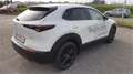 Mazda CX-30 2025 2.5L e-SKYACTIV G 140ps 6MT 2WD H Bianco - thumbnail 3
