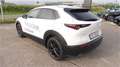 Mazda CX-30 2025 2.5L e-SKYACTIV G 140ps 6MT 2WD H Bianco - thumbnail 4