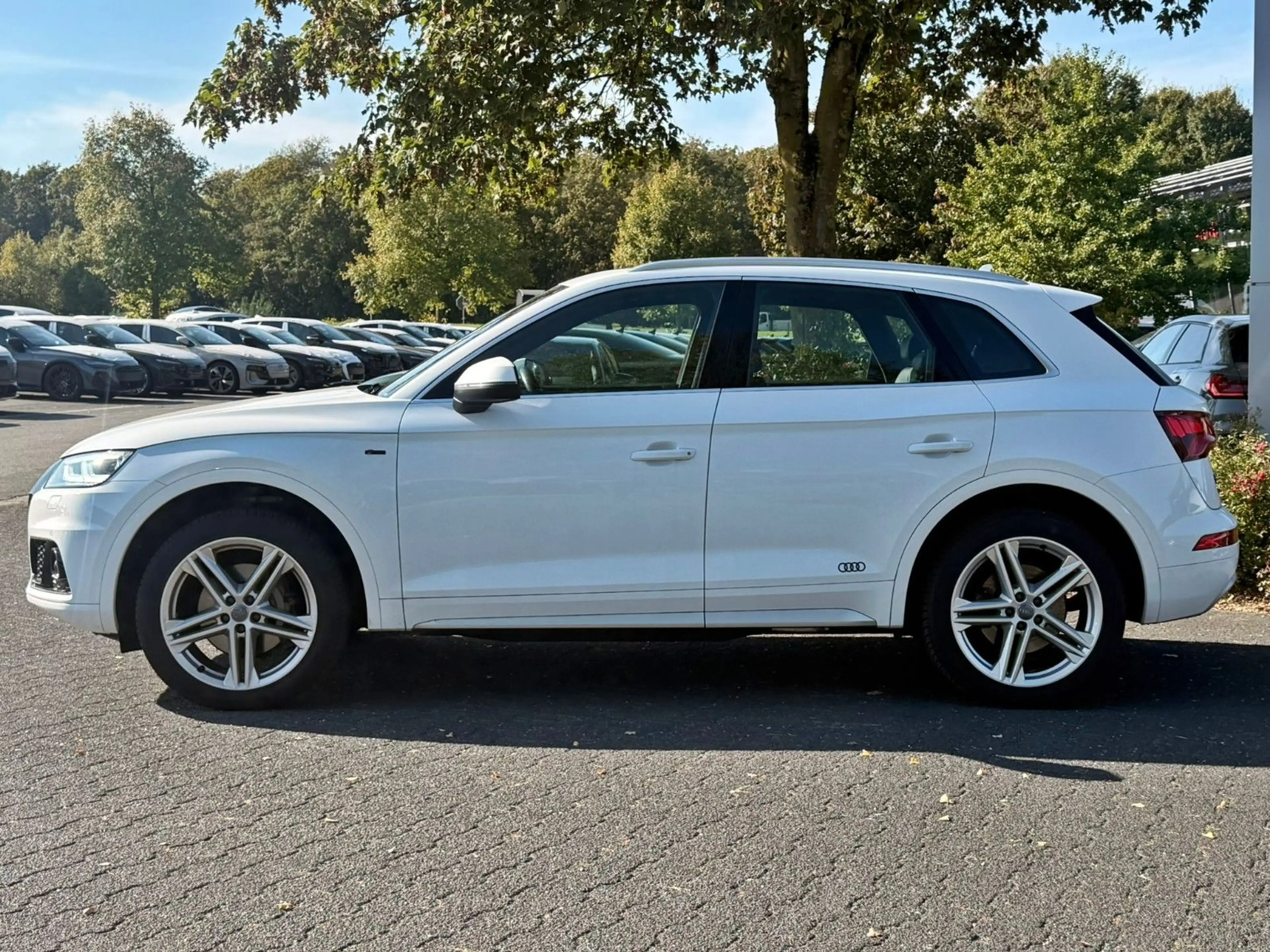 Audi Q5 2.0TDI qu S LINE EXPORT HANDEL — photo 4