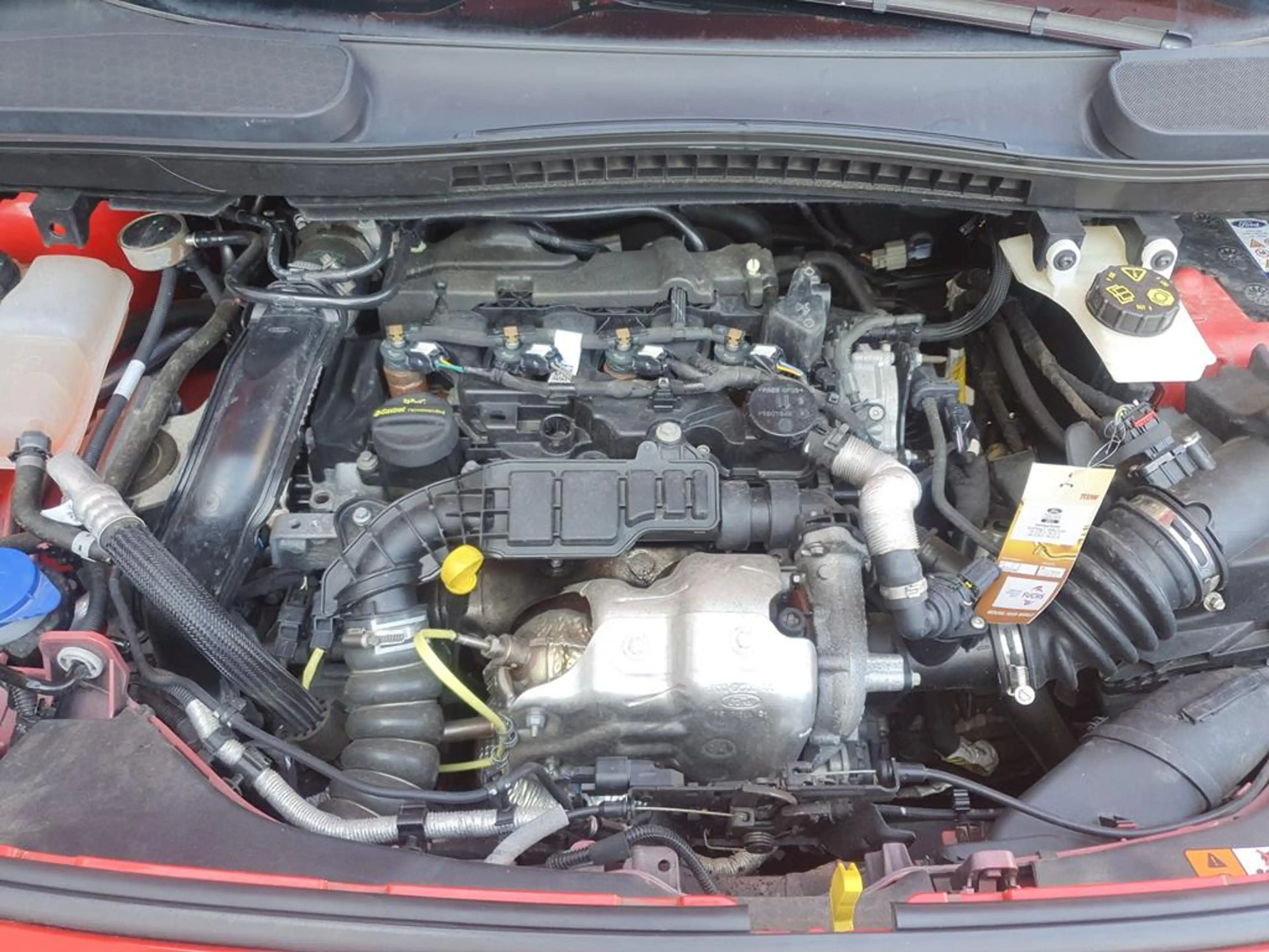 Ford Transit Connect 1.5 EcoBlue 230 Trend — photo 5