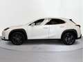 Lexus UX 250h Business City 2WD - thumbnail 3