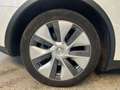 Tesla Model Y RWD/Certified Pre owned Wit - thumbnail 10